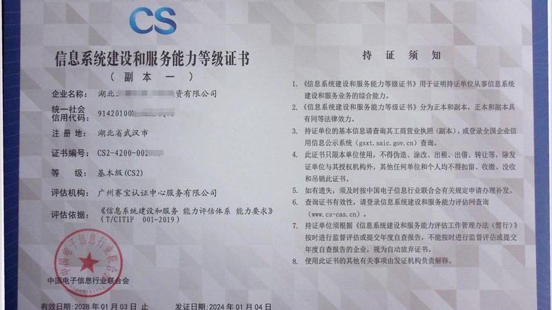 成都IT外包与自建团队：如何权衡选择**